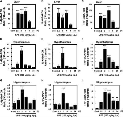 Peripheral Immune Activation in Mice Elicits Unfolded Protein Responses Independent on MyD88 Pathway in the Liver but not the Hypothalamus and Hippocampus